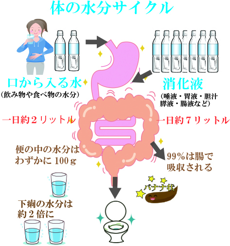 下痢になる３つのパターン | 下痢の改善相談室