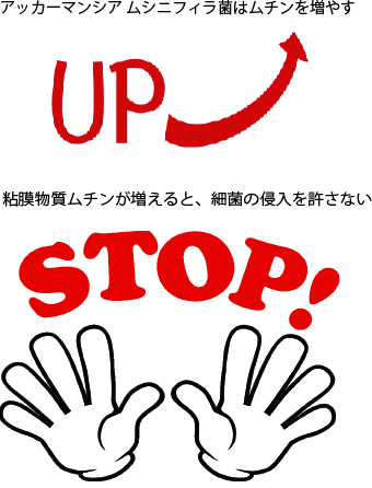 下痢の原因 改善方法を徹底解説 下痢改善相談室