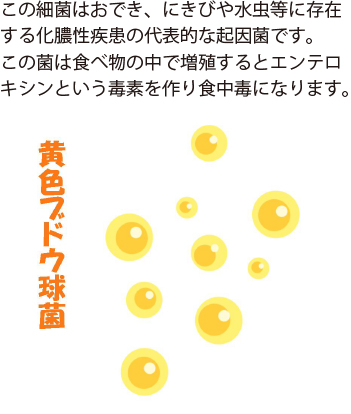 下痢の原因 改善方法を徹底解説 下痢改善相談室 下痢の原因 改善方法を徹底解説 下痢改善相談室